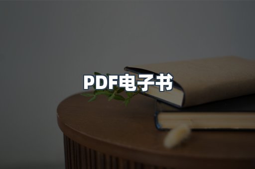 PDF电子书